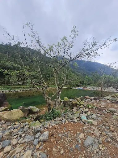 Cắm trại
